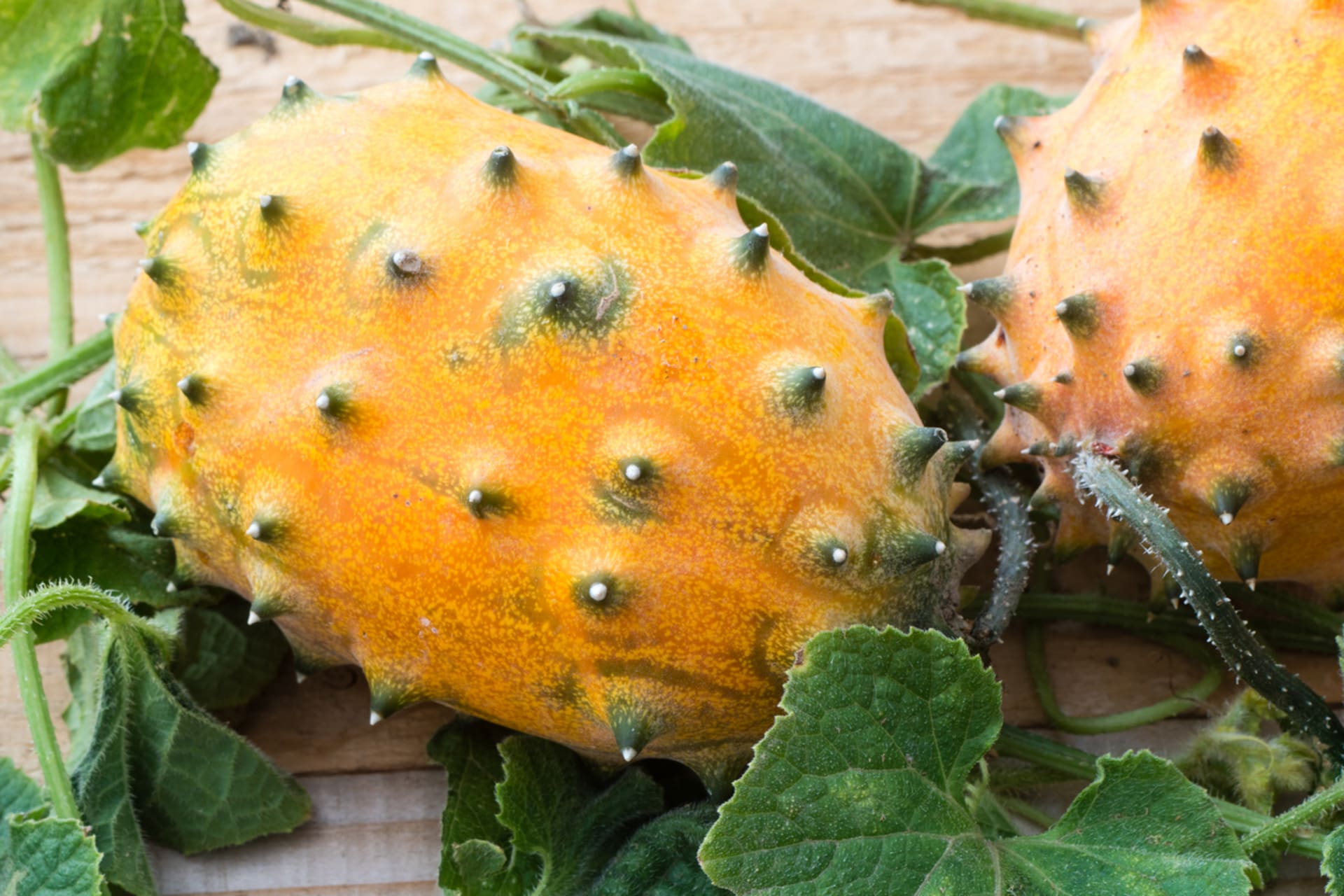 Kiwano: Uzgojite bodljikavi krastavac 1