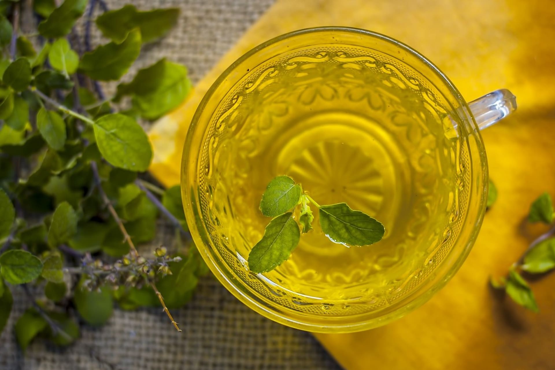 Sveti bosiljak Tulsi: čaj između ostalog pomaže protiv prehlade i kašlja, snižava temperaturu i jača imunitet