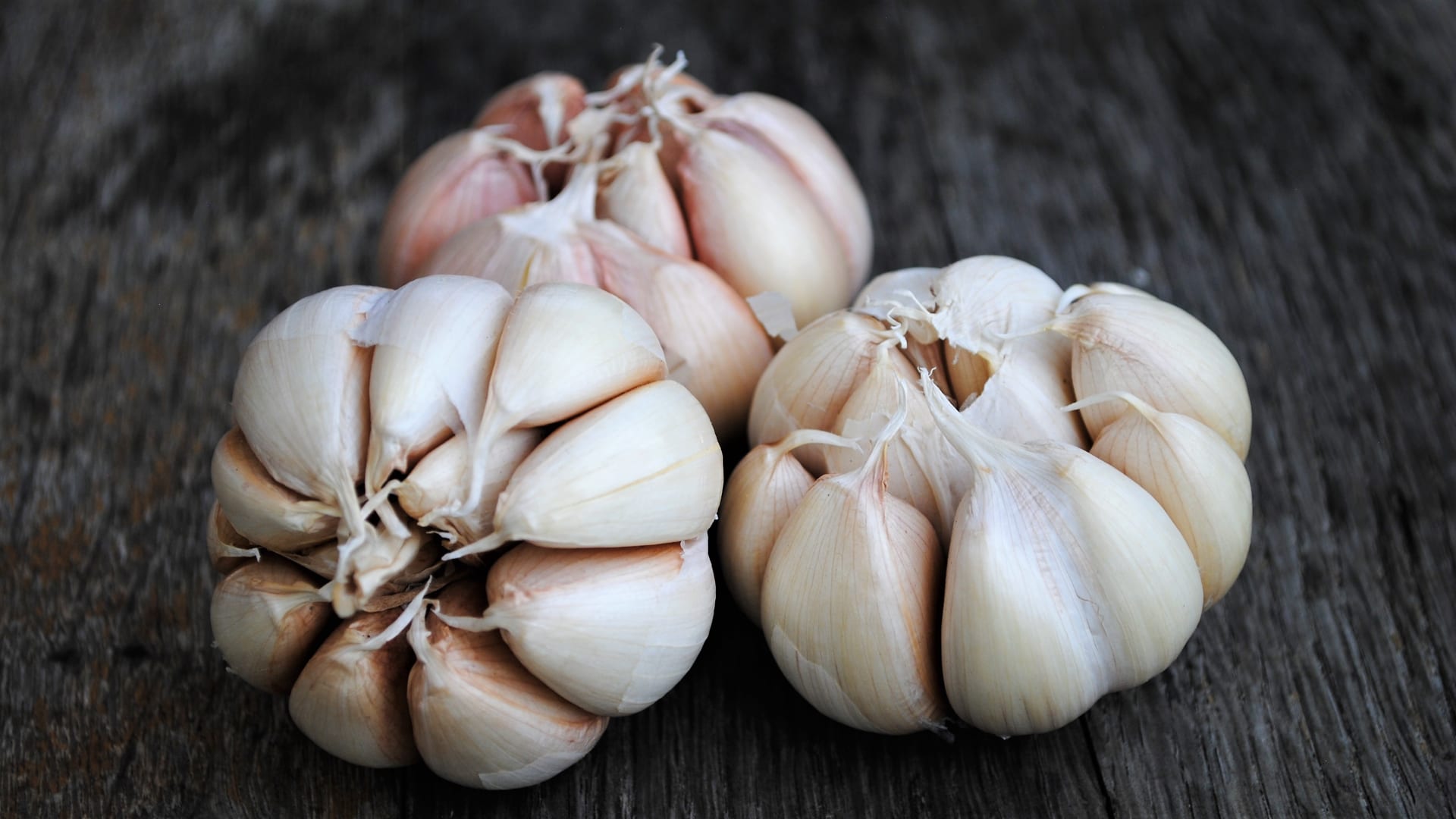 Češnjak (Allium sativum) dobro je uživati ​​što češće u razdobljima povećane pojave gripe i drugih prehlada i kao preventivu i kao lijek