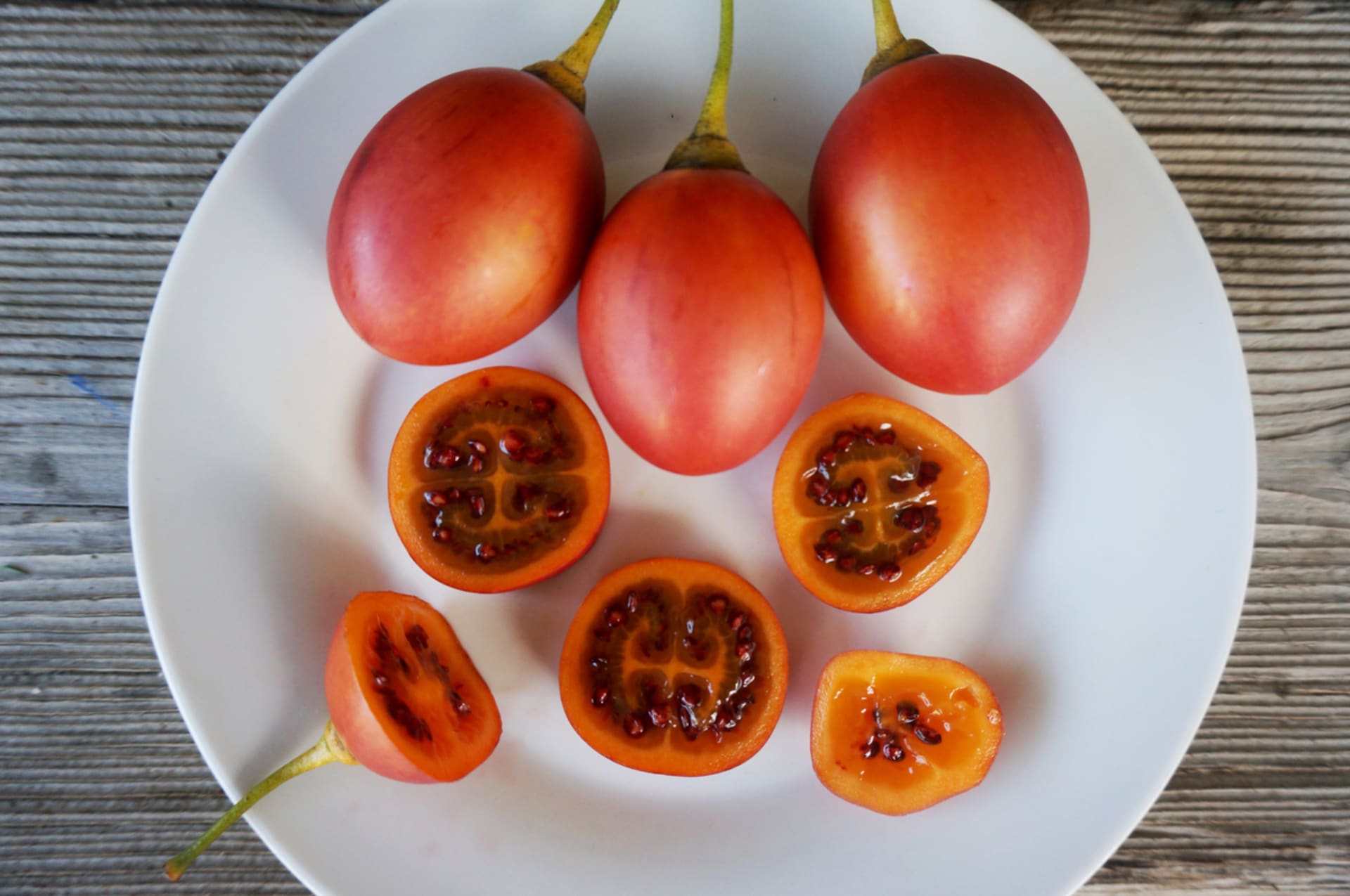 Paradajz patlidžan, rajčica repa, tamarillo, stablo rajčica (Silanum betaceum)