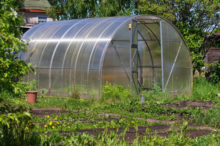 Staklenik ili solar? Koje su glavne razlike i kako su izgrađene?